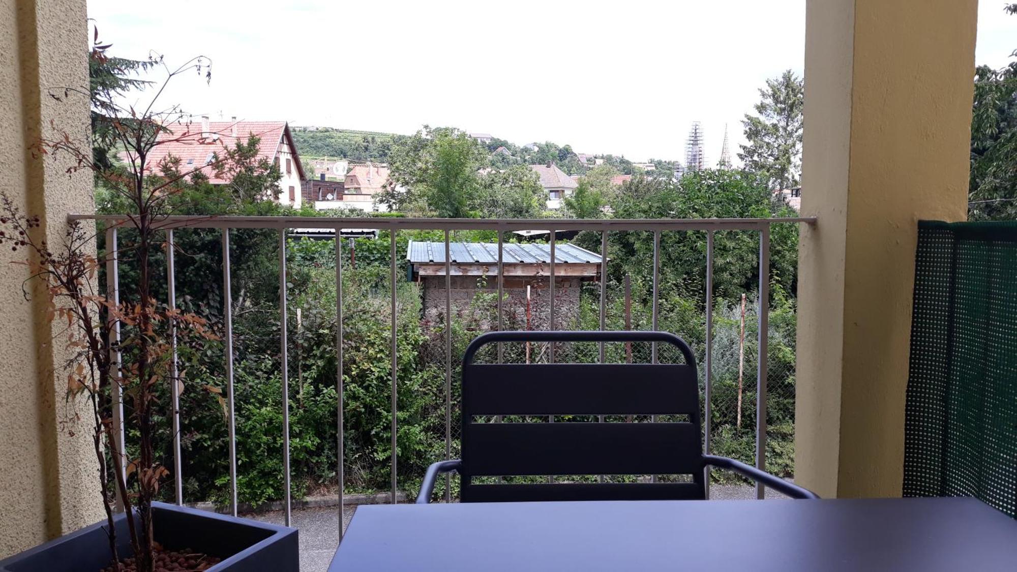 La Colonne Apartment Obernai Ngoại thất bức ảnh